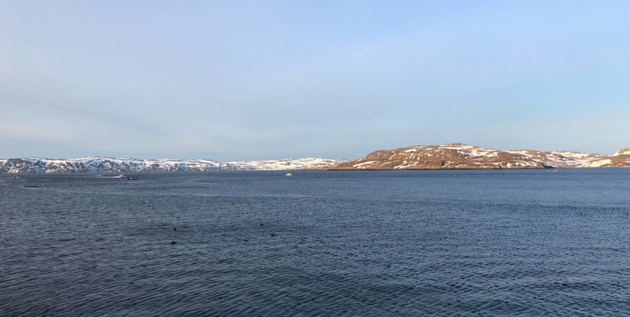 В уникальных озерах Норвегии расплодившуюся щуку травят ядом
