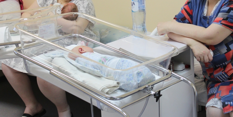 Жительницы Мурманской области чаще всего рожают первенцев в 29 лет