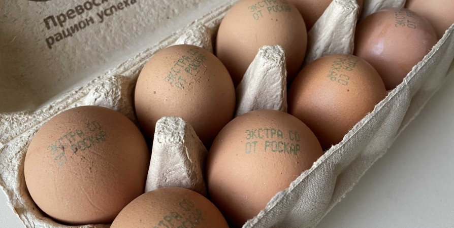 Цена на десяток куриных яиц в Заполярье выросла до 89 рублей