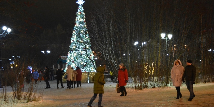 Сегодня в Росляково зажгут новогоднюю елку