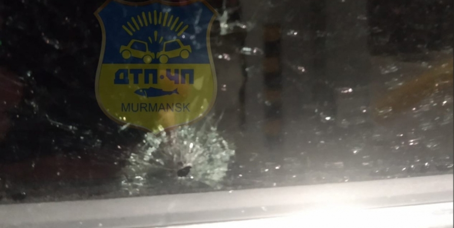 Стрелявшему в авто с детьми в Мурманске юноше грозит семь лет