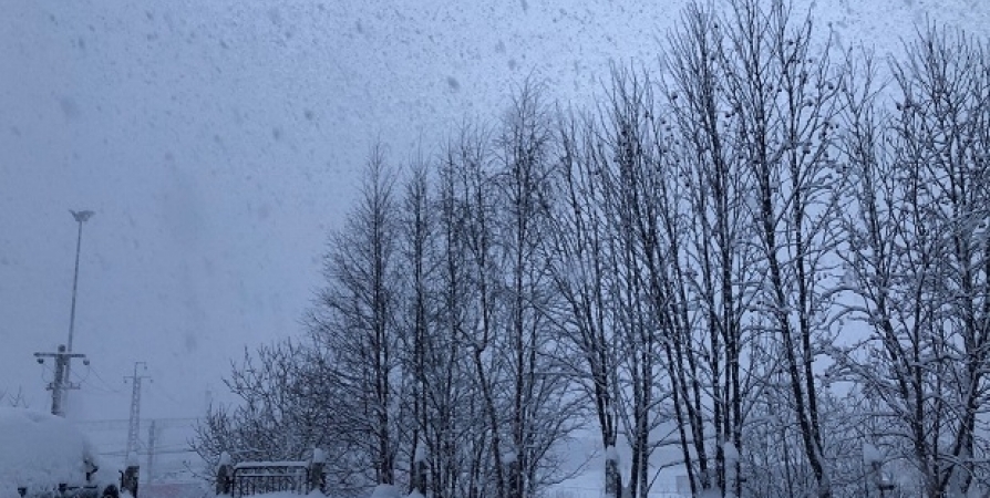 На севере Мурманской области сегодня сильный снег