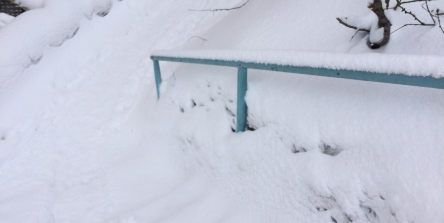 На северо-западе Мурманской области высота снега увеличилась на 25 см