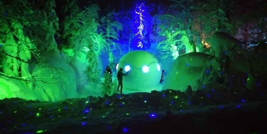 Арт-парк «Таинственный лес» в Кировске ждет гостей