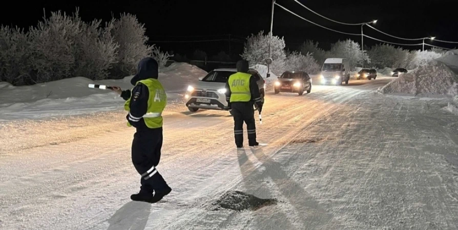 На дорогах Заполярья ловят пьяных водителей