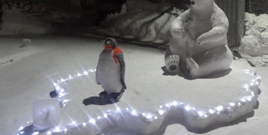 Заключенные колоний Заполярья участвуют в конкурсе снежных фигур