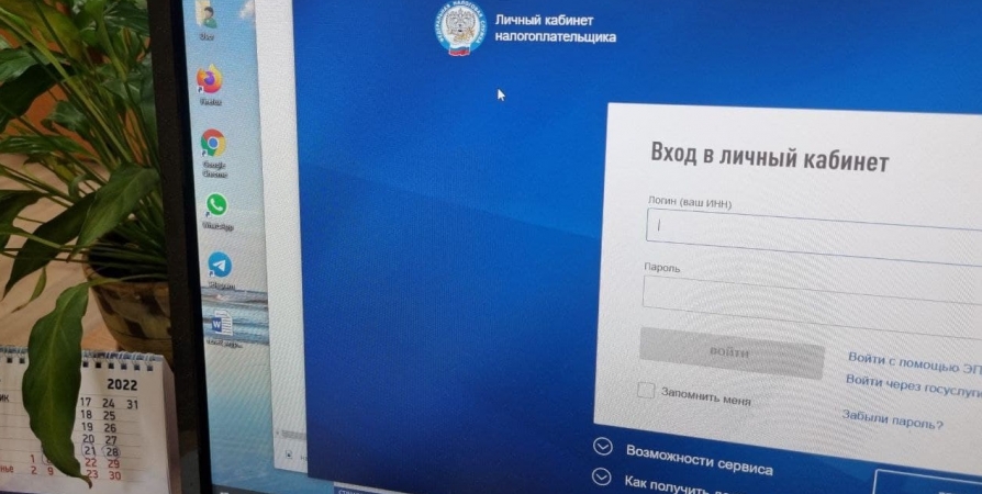 Северяне оплатили 17 млн рублей налогов через электронный сервис