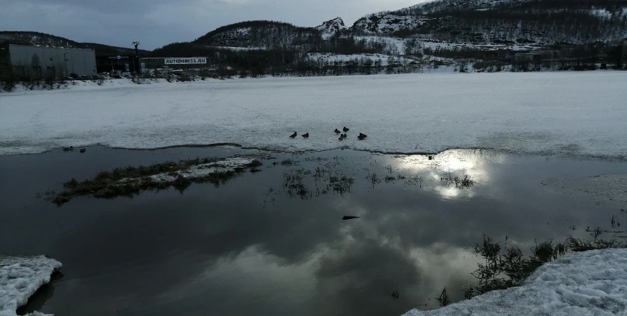 Сегодня на Кольском полуострове до -12° в течение суток