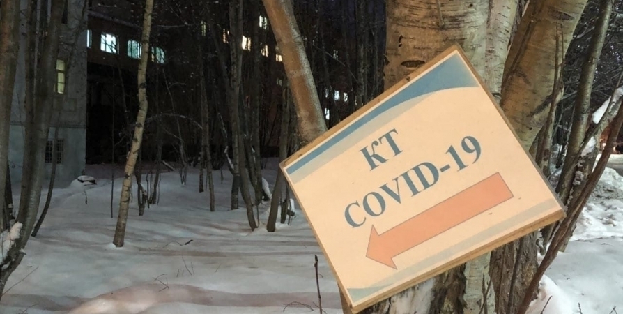 1 156 заболевших CoViD-19 в Мурманской области за сутки