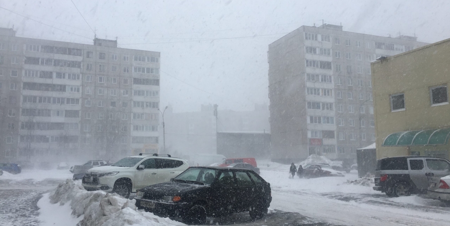 Жителей Заполярья предупредили о снегопаде на юге региона