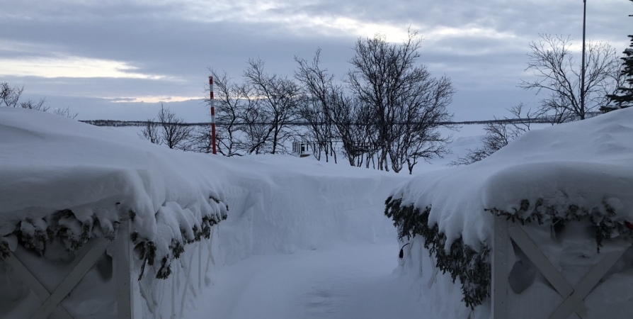 Выпал снег в феврале. Снег Заполярье. Мурманск сугробы 2022. Выпал снег. Мурманск в феврале.