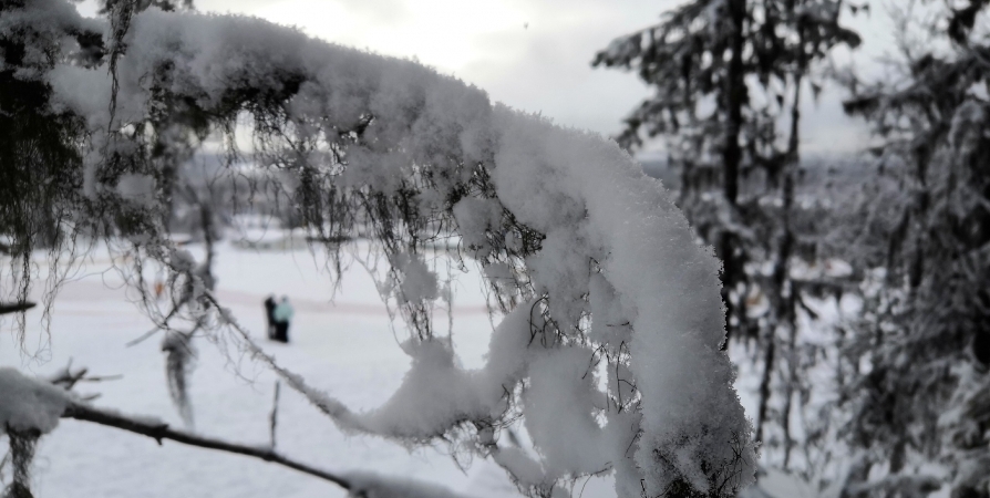 Циклон принес в Мурманск сильный снегопад
