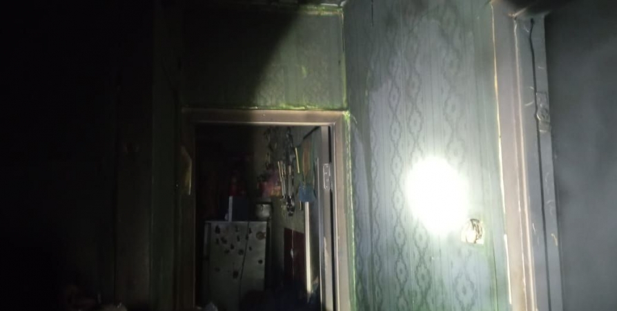 В Пушном при пожаре в 5-этажном доме погибла пенсионерка