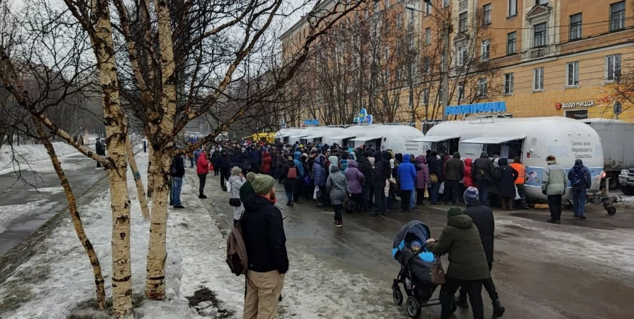 Дешевая мойва на ярмарке пользуется спросом среди мурманчан