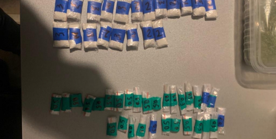 В квартире наркодилера из Североморска нашли 200 граммов запрещенных веществ