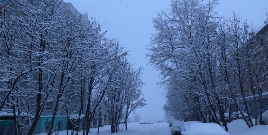 Снежные заряды и ветер до 16 м/c ожидают жителей Кольского полуострова