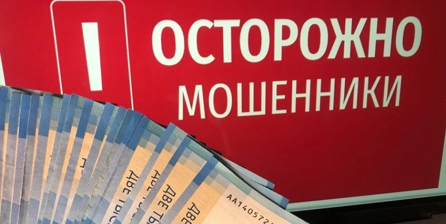 В Мурманске организация лишилась 73 тысяч при покупке электронного оборудования