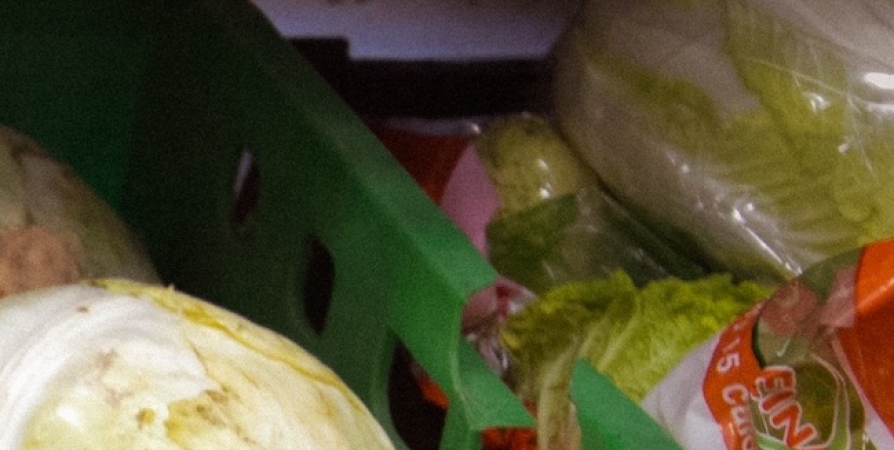 Китайскую капусту с цветочным трипсом завезли в Мурманск