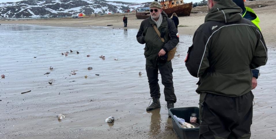 В Териберке рейнджеры ООПТ оштрафовали рыбаков за отходы на берегу
