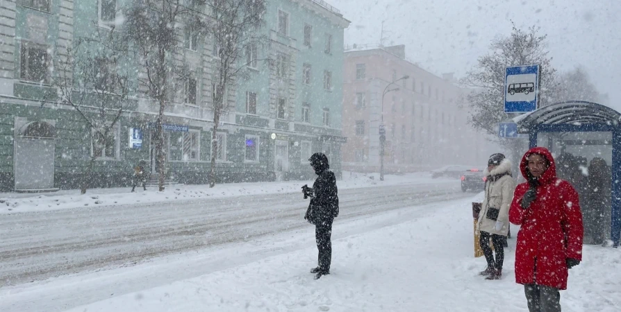 На Кольском полуострове на неделе прогнозируют до -9° и метель