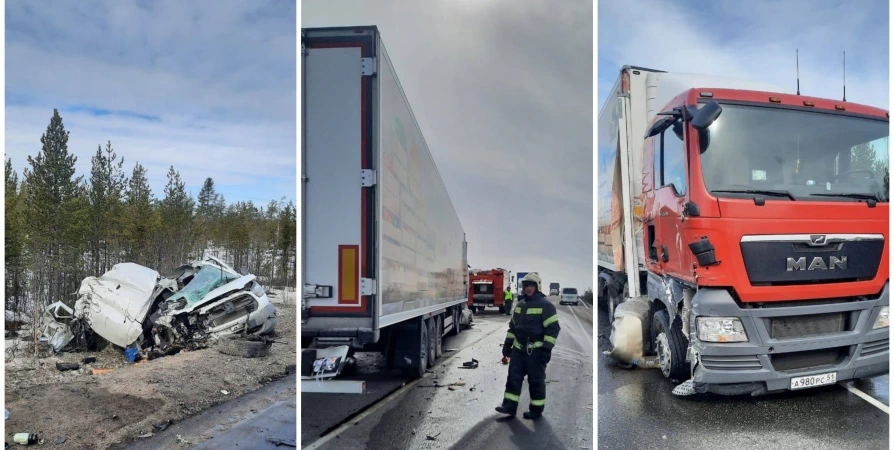 Под Кандалакшей в лобовом ДТП с грузовиком погиб пассажир Ford Transit