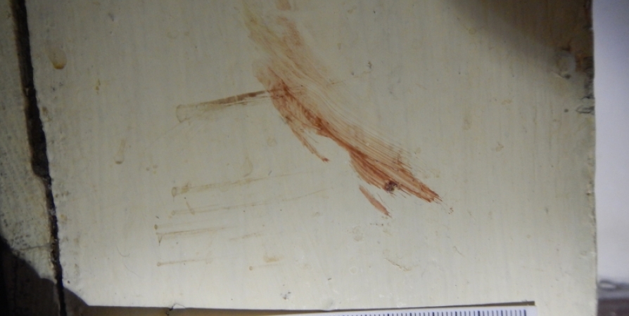 В Зеленоборском мужчина зарезал собутыльника за оскорбление сожительницы