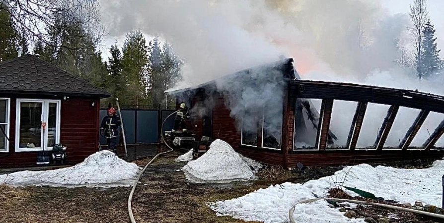 Ночью в Кольском районе пожар уничтожил баню и гараж