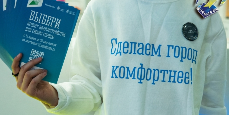 Почти 53 тысячи человек проголосовали за объекты благоустройства в Заполярье