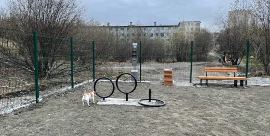 Мурманчане пожаловались на сломанные тренажеры на площадке для собак на Радищева