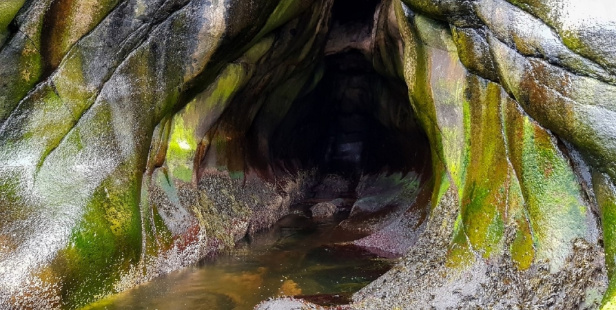 На берегу Кольского полуострова обнаружили необычную пещеру