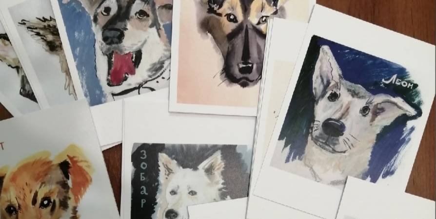 В приюте Мончегорска корм для животных обменяют на открытку с собаками