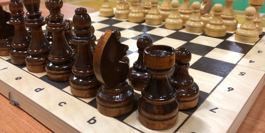 В субботу для мурманчан проведут шахматный турнир на открытом воздухе
