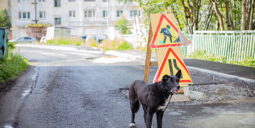 В Мурманске досрочно завершили ремонт на 7 участках дорог