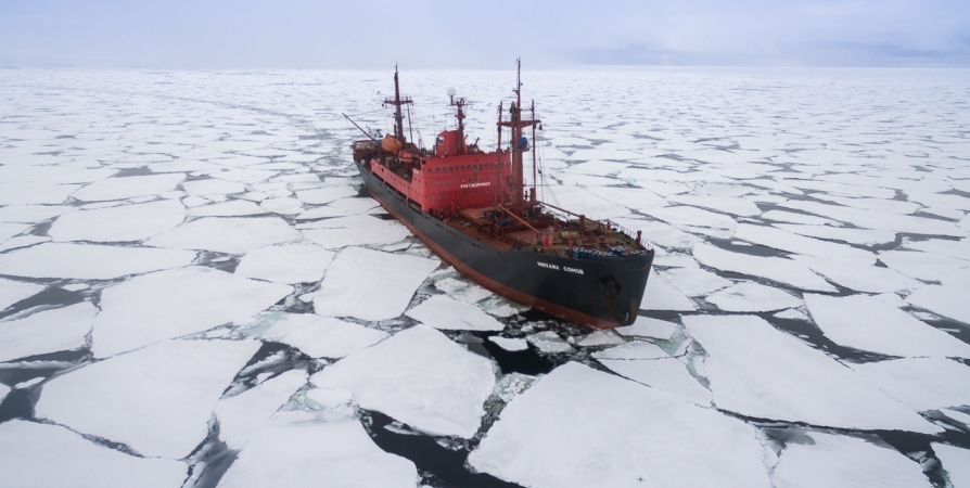 Научная экспедиция «Роснефти» исследует в Арктике моржей и битум