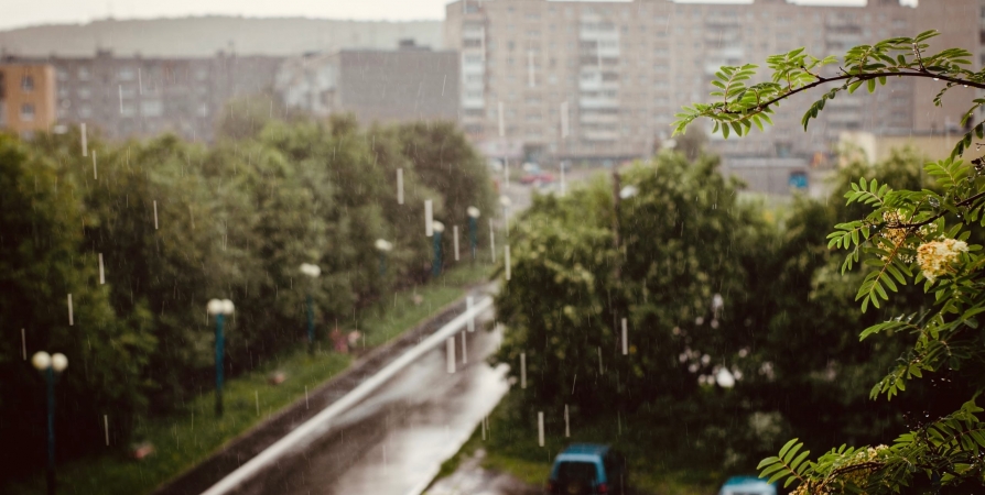 Теплые и дождливые выходные ждут жителей Кольского полуострова