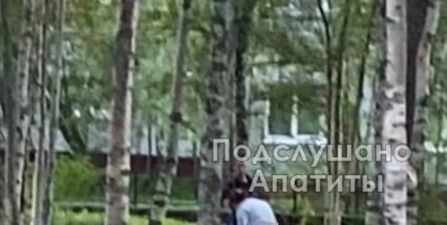 В парке Апатитов пару застукали во время любовных утех