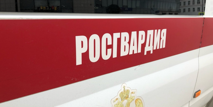 Житель Архангельска оказал сопротивление при задержании в мурманском отеле
