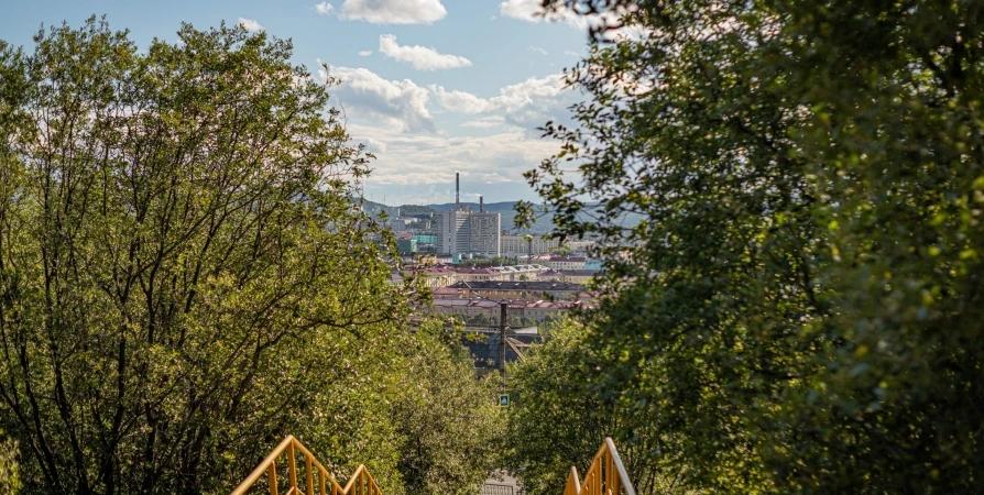 Теплое лето в Мурманской области продолжается