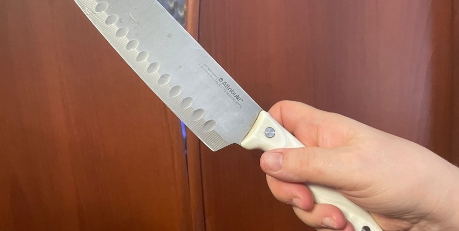 В Мурманске пенсионер напал с графином и ножом на сына