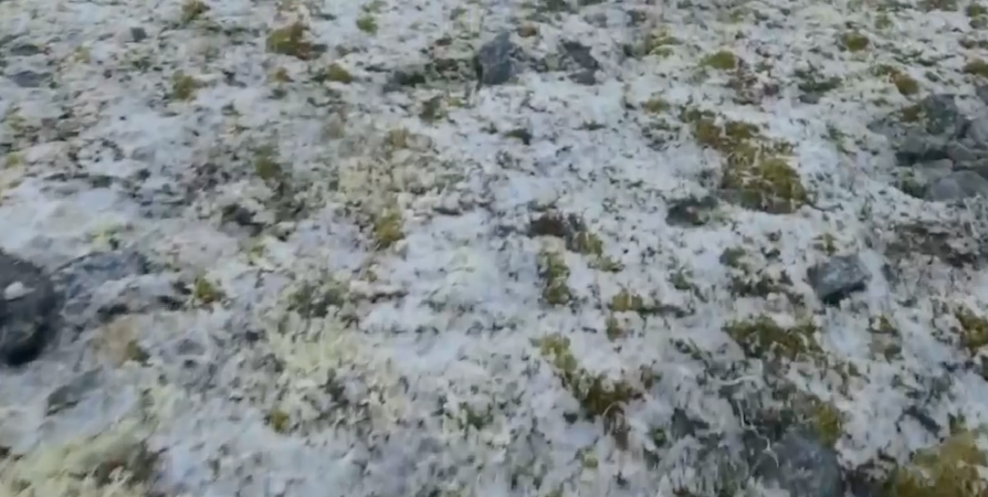 В конце августа в Мурманской области выпал первый снег