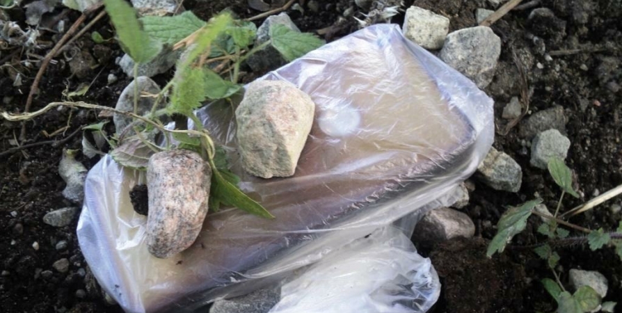 Под камнями возле колонии в Мурманске нашли два телефона