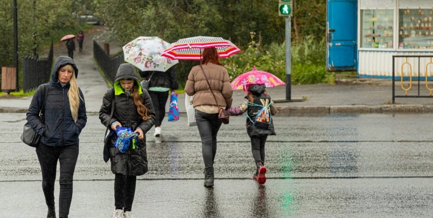 Синоптики прогнозируют сильные дожди и до +14° на Кольском полуострове