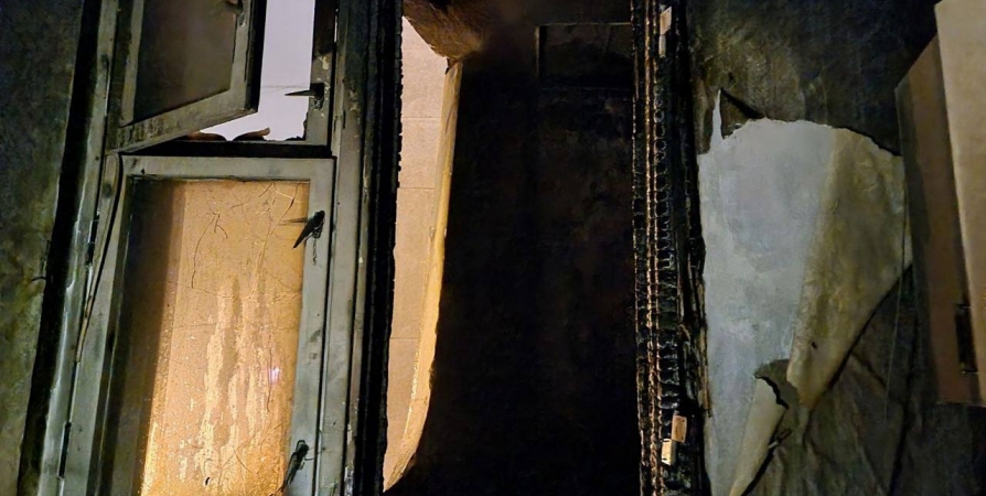 От пожара в девятиэтажном доме в Мурманске пострадали две квартиры