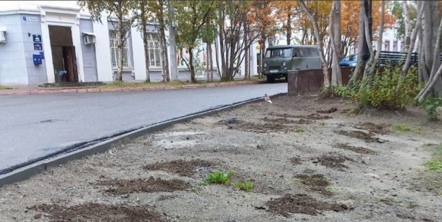 На улицах Кировска посадят 5000 кустов и деревьев