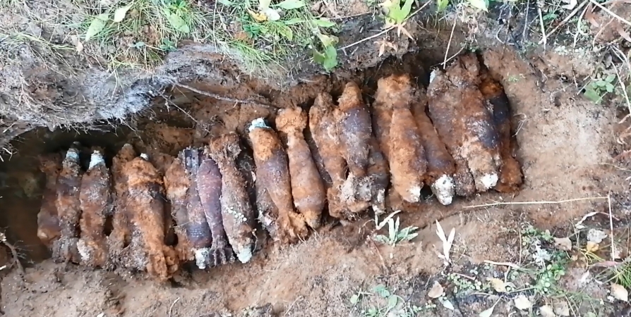 В районе Заозерска обезвредили 39 минометных снарядов времен войны