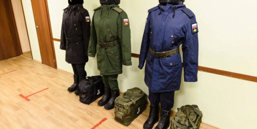 В Мурманской области возникают единичные проблемы в военкоматах