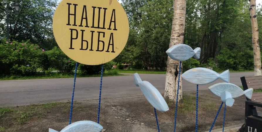 Завтра в Оленегорск приедет мобильная ярмарка «Наша рыба»