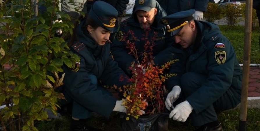 В Полярных Зорях высадили деревья в память о героях Великой Отечественной войны