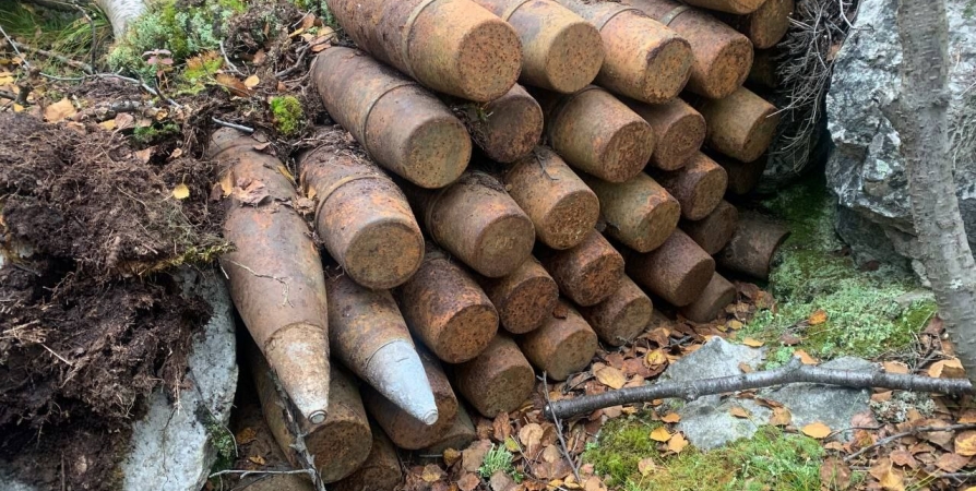 В Печенгском районе найдены немецкие снаряды времен войны