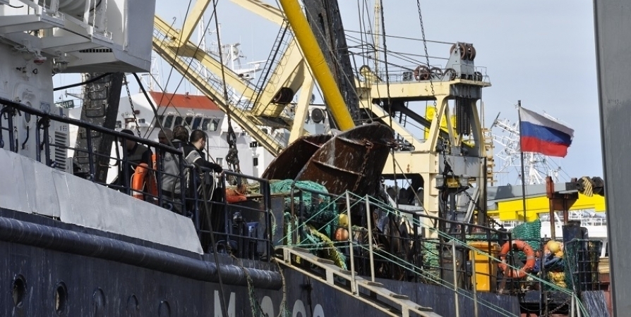 Акции Мурманского рыбного порта передадут государству